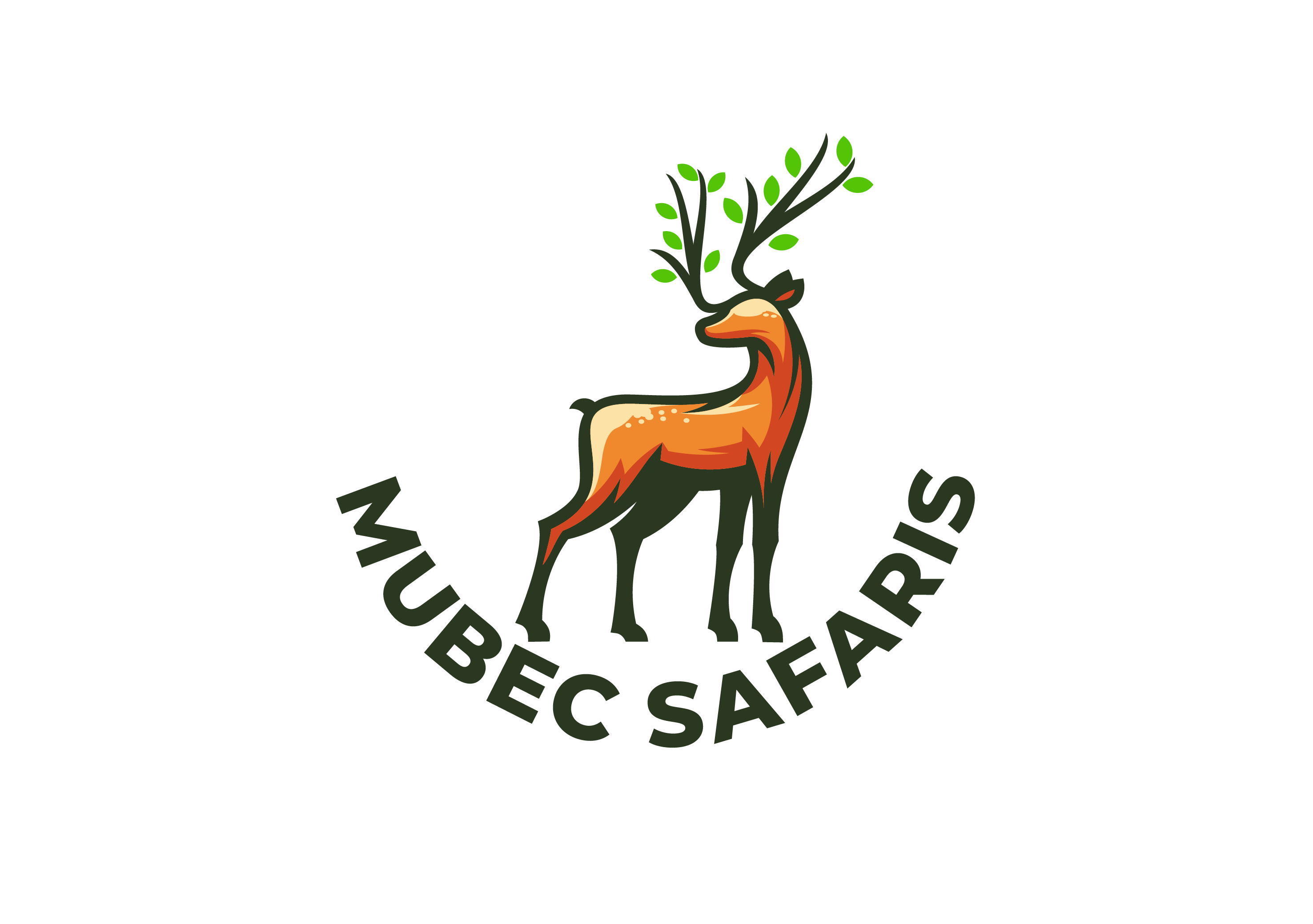 Mubec Safaris